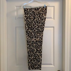 Loft Leopard Print Pencil Pants
